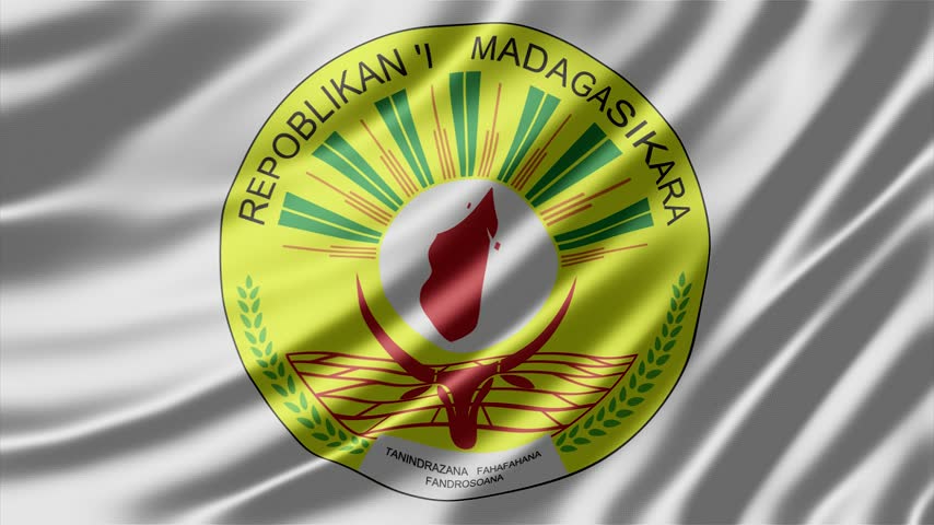 Madagascar national emblem printed on a waving fabric surface demonstrates smooth rhythmic motion in this high quality digital animation footage perfect for political broadcasts or patriotic themed projects featuring the official seal with its unique red and green design elements.