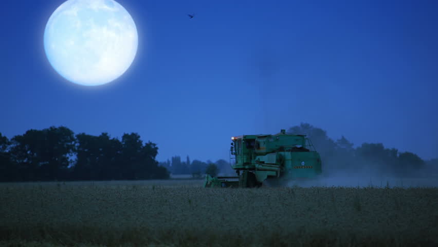 Summer. Evening. Harvester harvests wheat. Big moon. Birds fly around. 