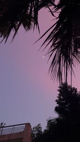 beautyful pink sky and pretty mood 