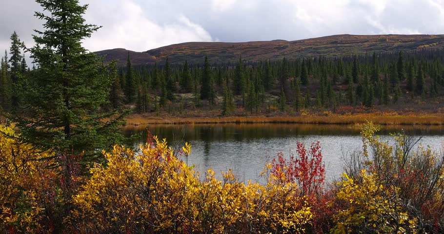 Calm lake reflecting the surrounding autumn colors of a forest under a cloudy sky in Alaska.