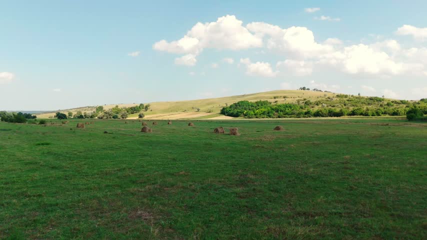 Rolling Hills with Hay Bales and Scattered Trees