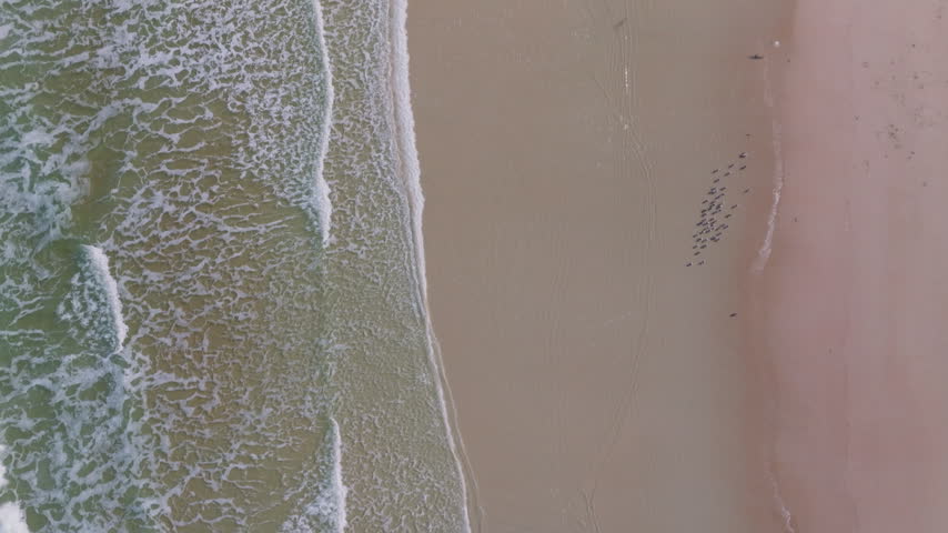 Top-down aerial drone view of ocean waves washing onto the sandy shoreline of Daytona Beach, Florida, creating natural patterns, filmed in ProRes 422HQ.