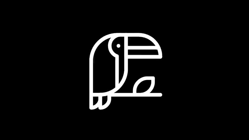 A stylized toucan depicted with clean white lines against a solid black backdrop, showcasing a modern and abstract design aesthetic