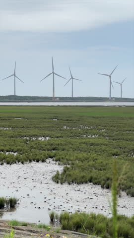 A row of wind turbines spins above the green salt marsh and tidal flats at Gaomei Wetlands in Taichung, Taiwan.