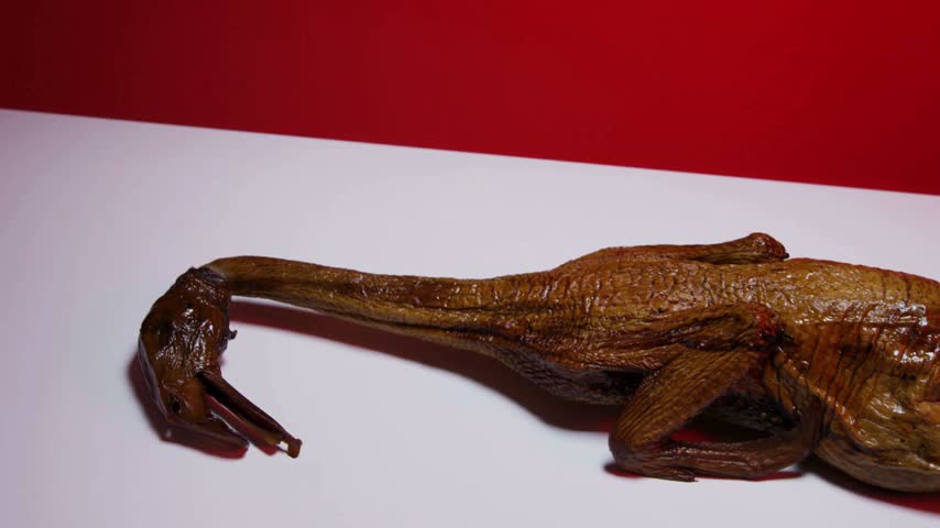 Smooth pan shot of delicious whole roasted duck with golden crispy skin lying on a white table against a vibrant red studio background