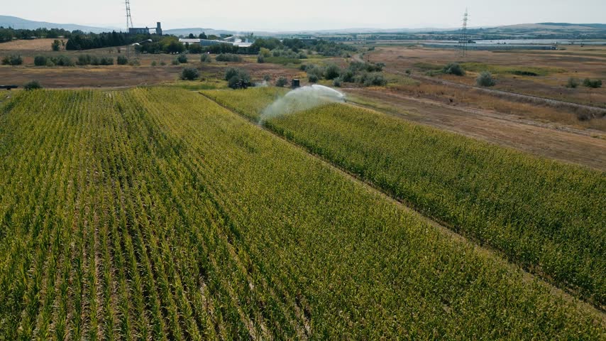 Irrigation water cannon spraying water across huge area of the crop field. Farming. Cultivation. Agriculture. Production. Growth.