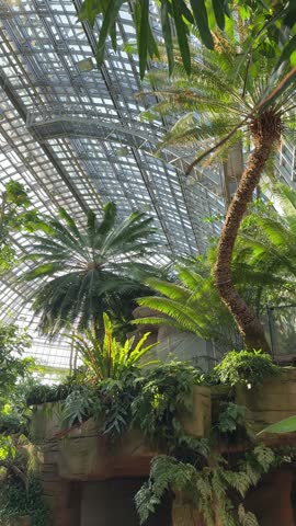 Berlin botanical garden greenhouse inside panoramic view. Exotic tropical plants collection in the capital of Germany.