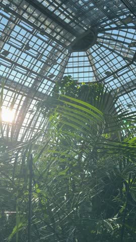 Giant greenhouse glass dome of Berlin Botanical Garden inside full of different green tropical plants and trees on a sunny summer day panoramic view