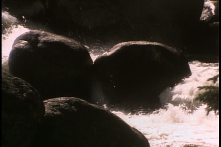 Water gushes down mountain stream during spring thaw.