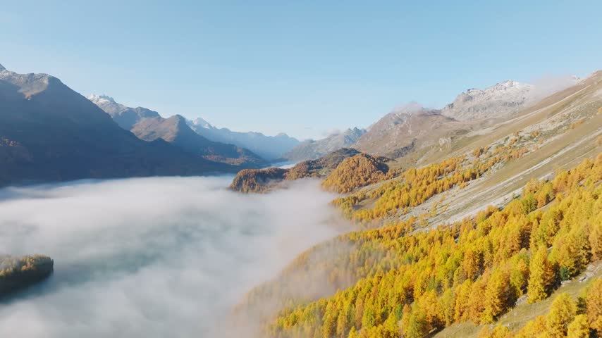 Aerial drone view of a foggy mountain valley with autumn forest at sunrise. Low mist over trees under a clear blue sky.