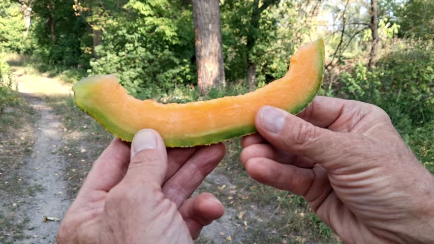 A slice of ripe juicy melon in the hands of a man.Picnic in the open air.