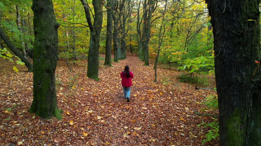 Drone tracking shot following a woman in a red jacket walking along a leaf-covered path between tall trees in an autumn forest.