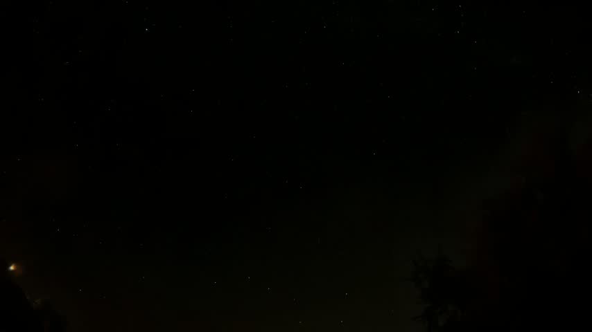 Circular, short star trails above the tree