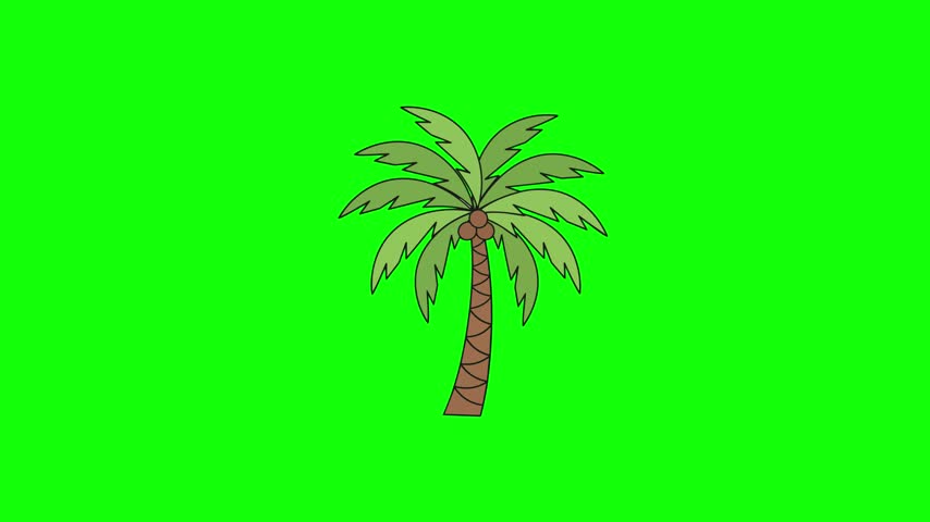 Isolated illustrated palm tree drawing featuring vibrant green foliage against chroma key green background for digital asset design