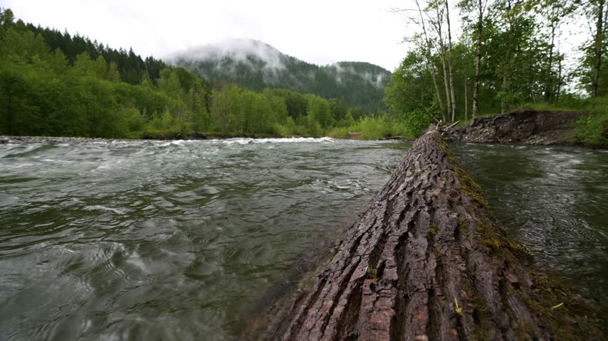 shot of whitewater river from log