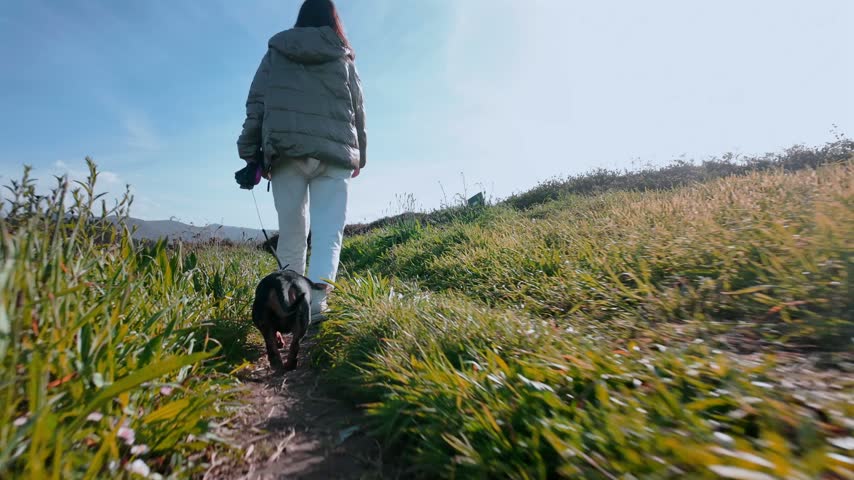 Woman walks ahead while a small black dachshund follows along a sunny grassy countryside trail.