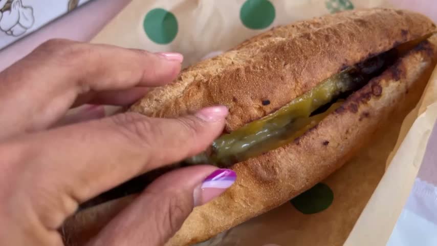 Melty Cheese Soy Meat Sandwich Sub