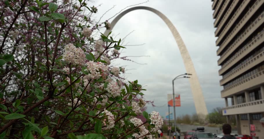 Gateway Arch seen from flowering trees in St. Louis, Missouri