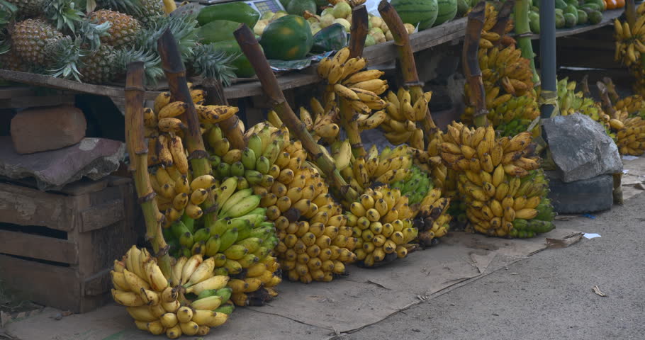 Large rows of green and yellow banana bunches cover a roadside stall with pineapples stacked above and heavy blocks securing the display beside the pavement in a static documentary composition