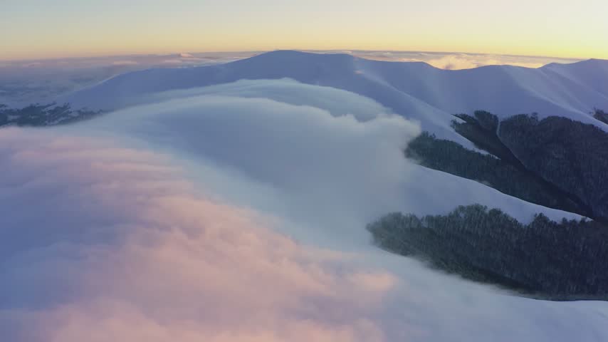 Cloud waves gently and slowly flow over the tops of snow-capped mountains covered with spruce forests at a cold sunset