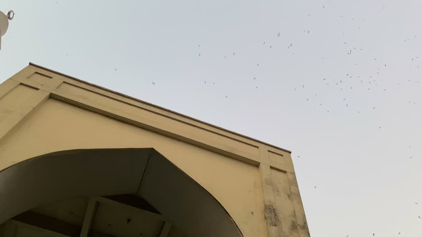 Birds flying above Baitul Mukarram National Mosque gate at dhaka, bangladesh.