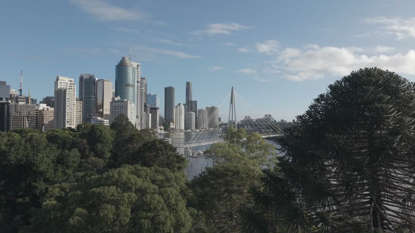 A daytime aerial view shows the Brisbane city skyline and the Kangaroo Point Bridge beyond garden trees.