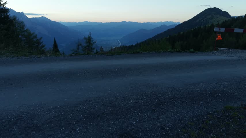 Low-level drone flight begins near the ground and rises above a pine forest, revealing an open valley and distant mountains in the soft light before sunrise.