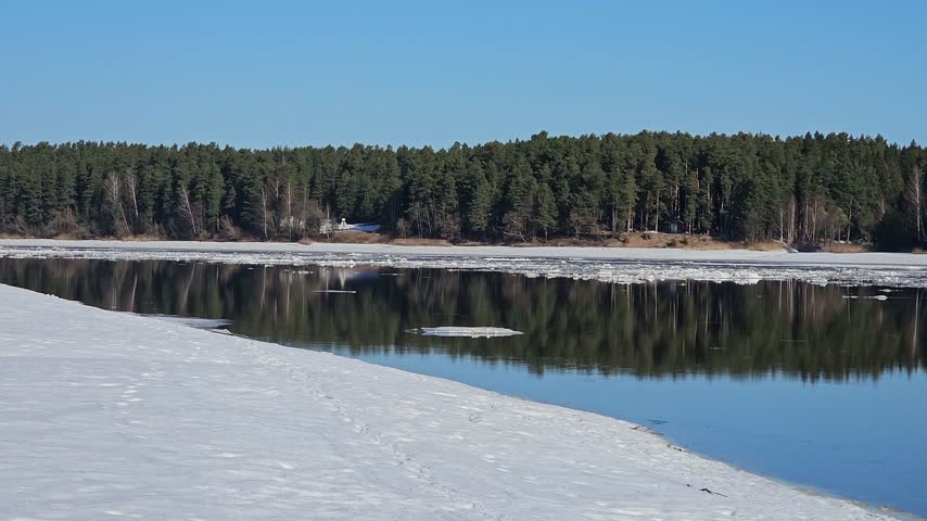 Frozen lake river with ice melting under clear blue sky. Reflections of trees ripple gently on calm water. Snow patches line the shoreline near reeds and pines