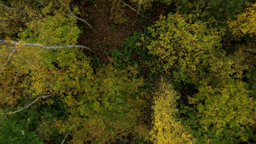 Aerial view of historic wood pasture, heathland glades, and autumn woodland in Sherwood Forest UK