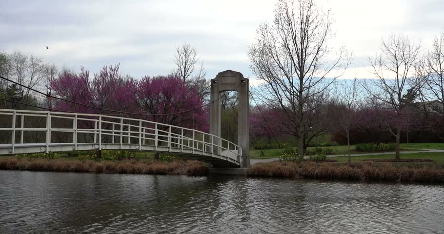 River flowing under bridge in Forest Park St. Louis, Missouri