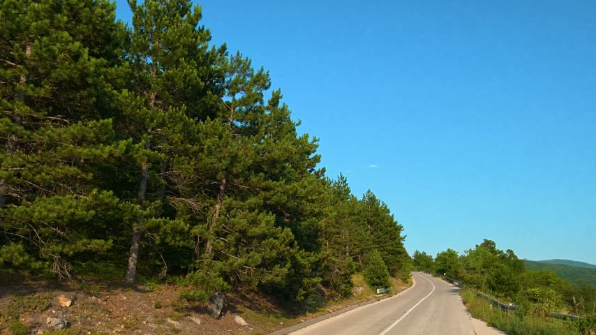 Clear blue sky above winding road through pine forest. Location: The Balkan Mountains (Stara Planina). Balkans, Serbia