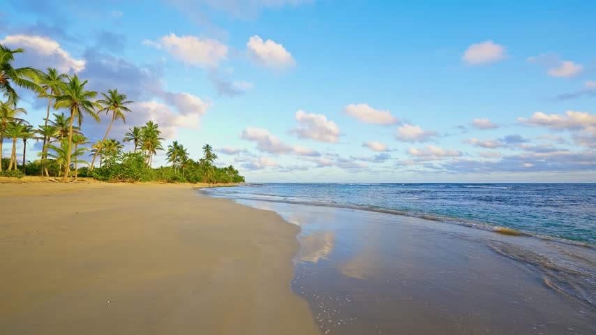 Picturesque landscape of palm beach at evening sunset. Twilight on a tropical island. The calm blue Indian Ocean. Colorful fluffy, glowing pink clouds in the evening sky, a sandy shoreline.