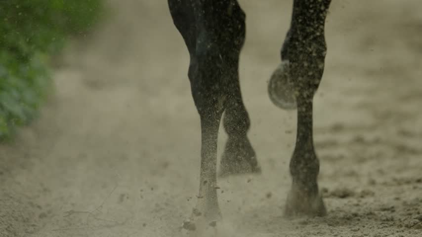 Slow motion Gallop Horse Race on sand, hooves, home straight, close up - 4K