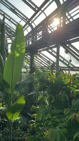 Beautiful interior of Berlin botanical garden glass greenhouse with huge collection of plants growing inside panoramic view.
