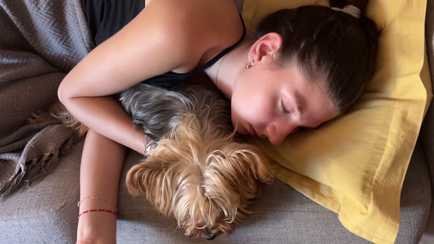 Calm young woman and her cute yorkshire terrier dog sleeping together on a cozy couch at home, sharing a deep and restful moment of peace, tranquility, and unconditional love