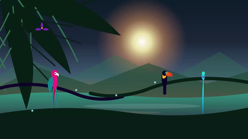 A 2D flat animation loop featuring vibrant parrots and toucans perched in a tropical jungle setting with a bright sunset.