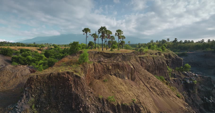 Palm trees standing on a hill overlooking a tropical landscape with a distant volcano