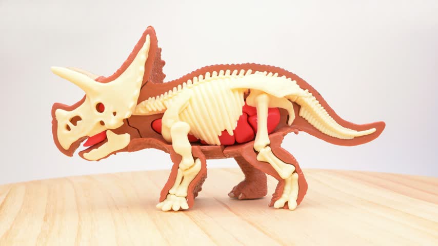 Split view triceratops toy with half outer skin and half exposed internal skeleton resting on light wooden table rotating