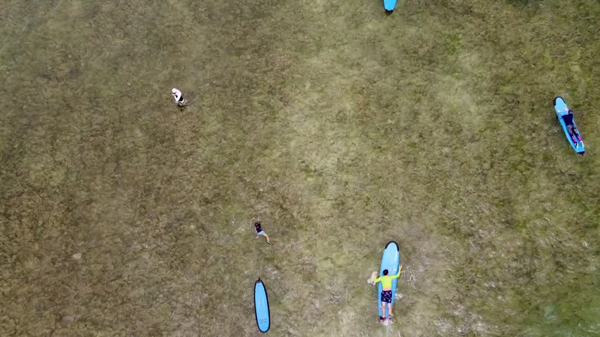 Aerial view of surfer catching and riding a wave in turquoise ocean water