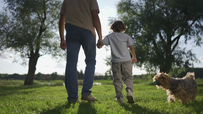 Son father walk family. A boy and a man walk together in a green field, holding hands. The boy and man enjoy time outdoors, accompanied by a small dog in the sunlight.