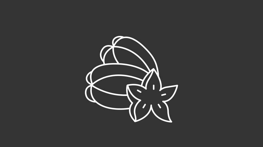 Tropical exotic fruit white line animation. Carambola fruit animated icon. Five point star slice. Small inner seeds. Healthy eating. Isolated element on dark background. Alpha transparent video