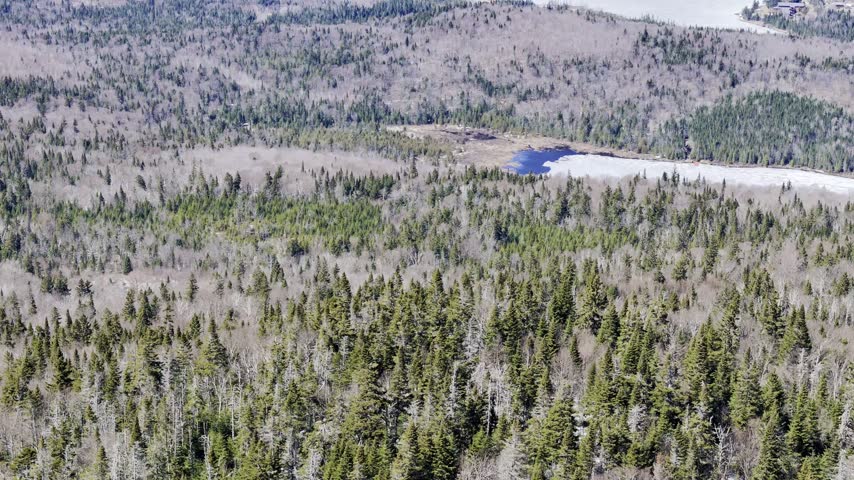 defaultAerial view of winding road along frozen lake in Quebec with forest and mountains under blue sky. g.