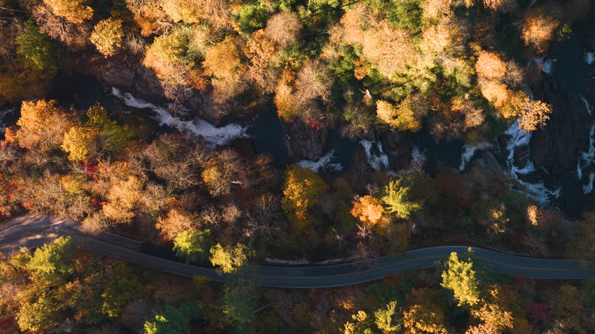 Scenic mountain road winds through dense autumn forest with colorful foliage and nearby waterfall. Rugged mountains create breathtaking scenery for scenic driving.