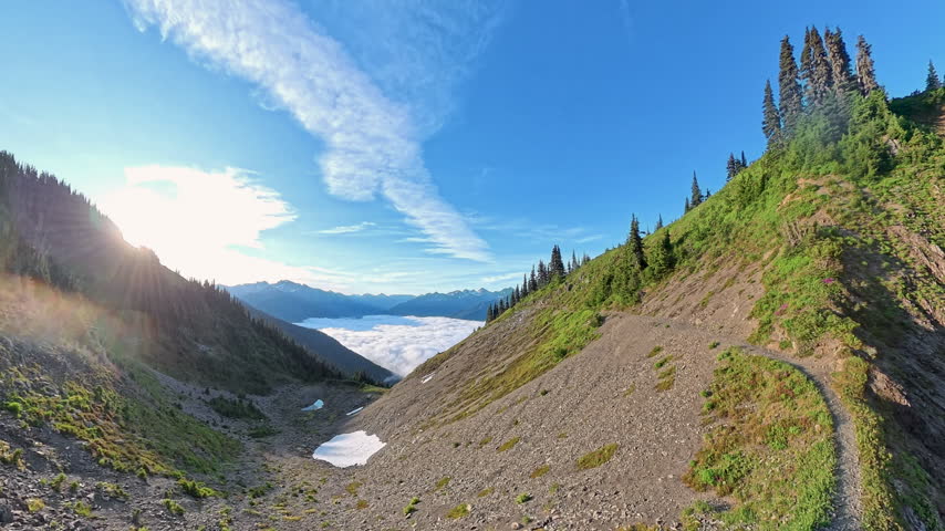Scenes from the High Divide Trail  in Olympic National Park