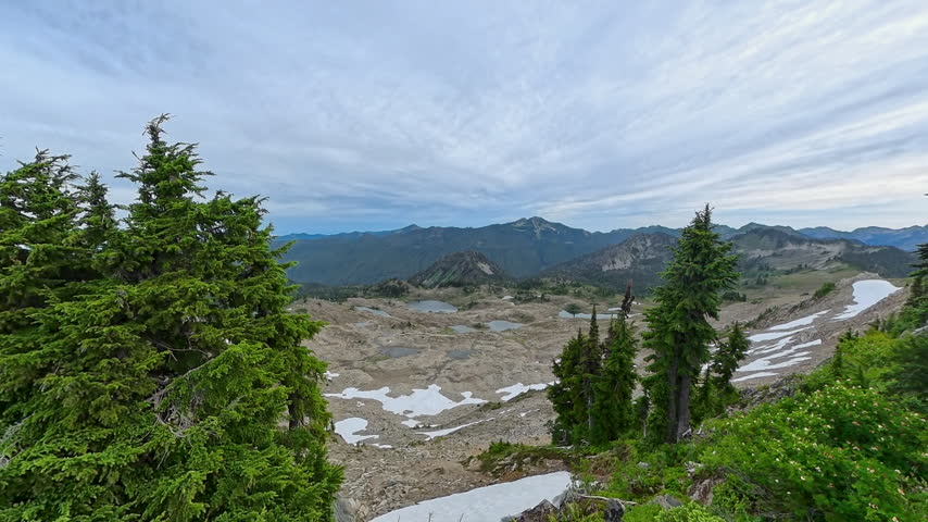 Top of Bogachiel Peak in Olympic National Park
