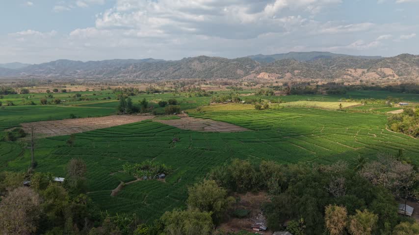 Drone footage of a countryside trail cutting through cornfields with a farmhouse and hazy hills beyond.