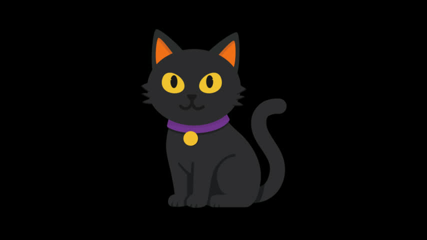 black cat animation halloween cat