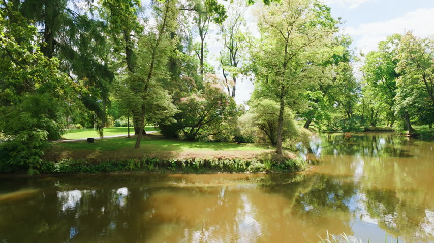Calm pond and lush green trees in a sunny public park