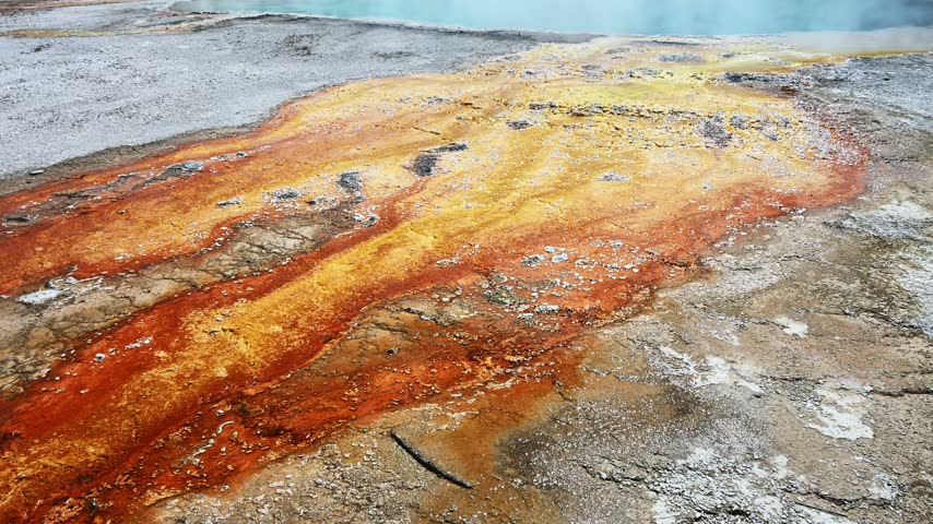 Vibrant orange Thermophiles flowing out of Black Pool hot springs into Yellowstone Lake, West Thumb Geyser Basin, summer vacation at Yellowstone National Park
