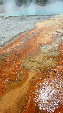 Vibrant orange Thermophiles flowing out of Black Pool hot springs into Yellowstone Lake, West Thumb Geyser Basin, summer vacation at Yellowstone National Park
